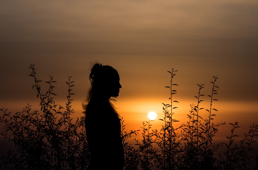 découvrez l'art de la silhouette : une exploration esthétique des formes et des contours qui façonnent notre perception. plongez dans l'univers captivant de la silhouette à travers des conseils, des techniques et des inspirations pour sublimer votre créativité.