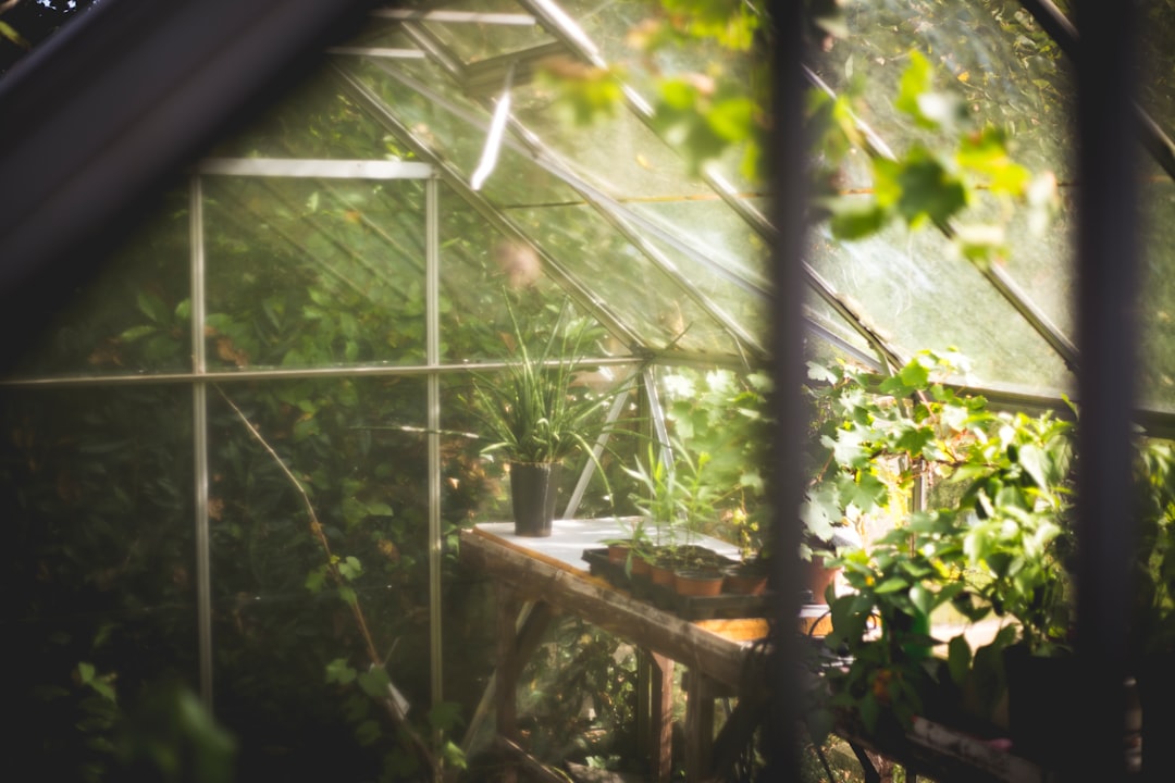 découvrez notre abri de jardin idéal pour stocker vos outils et équipements de jardinage. pratique et esthétique, il s'intègre parfaitement à votre espace extérieur tout en offrant un rangement optimisé.