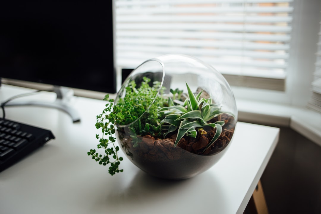 découvrez comment cultiver des herbes aromatiques à l'intérieur pour rehausser vos plats. apprenez des astuces pratiques sur les meilleures variétés d'herbes à planter, les conditions idéales et les soins nécessaires pour profiter d'une cuisine maison pleine de saveurs.