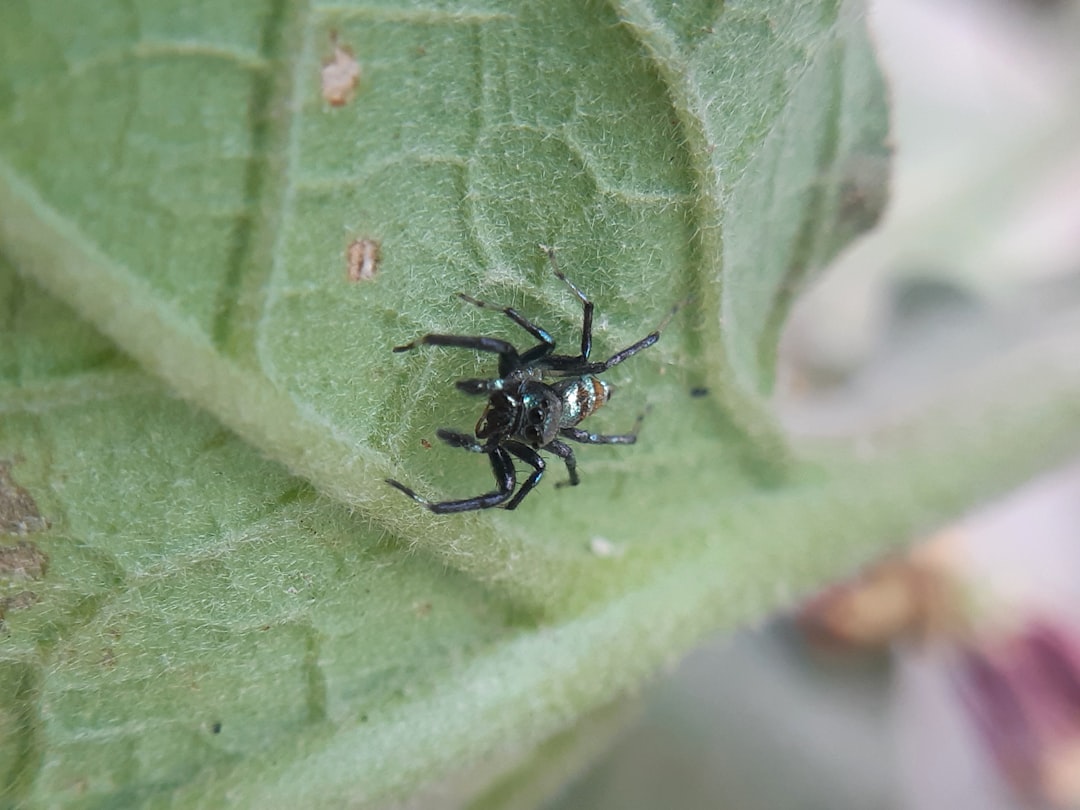 découvrez nos solutions efficaces de lutte contre les nuisibles. protégez votre maison des insectes et rongeurs grâce à nos services professionnels de désinfestation et de prévention. agissez aujourd'hui pour un environnement sain et serein.